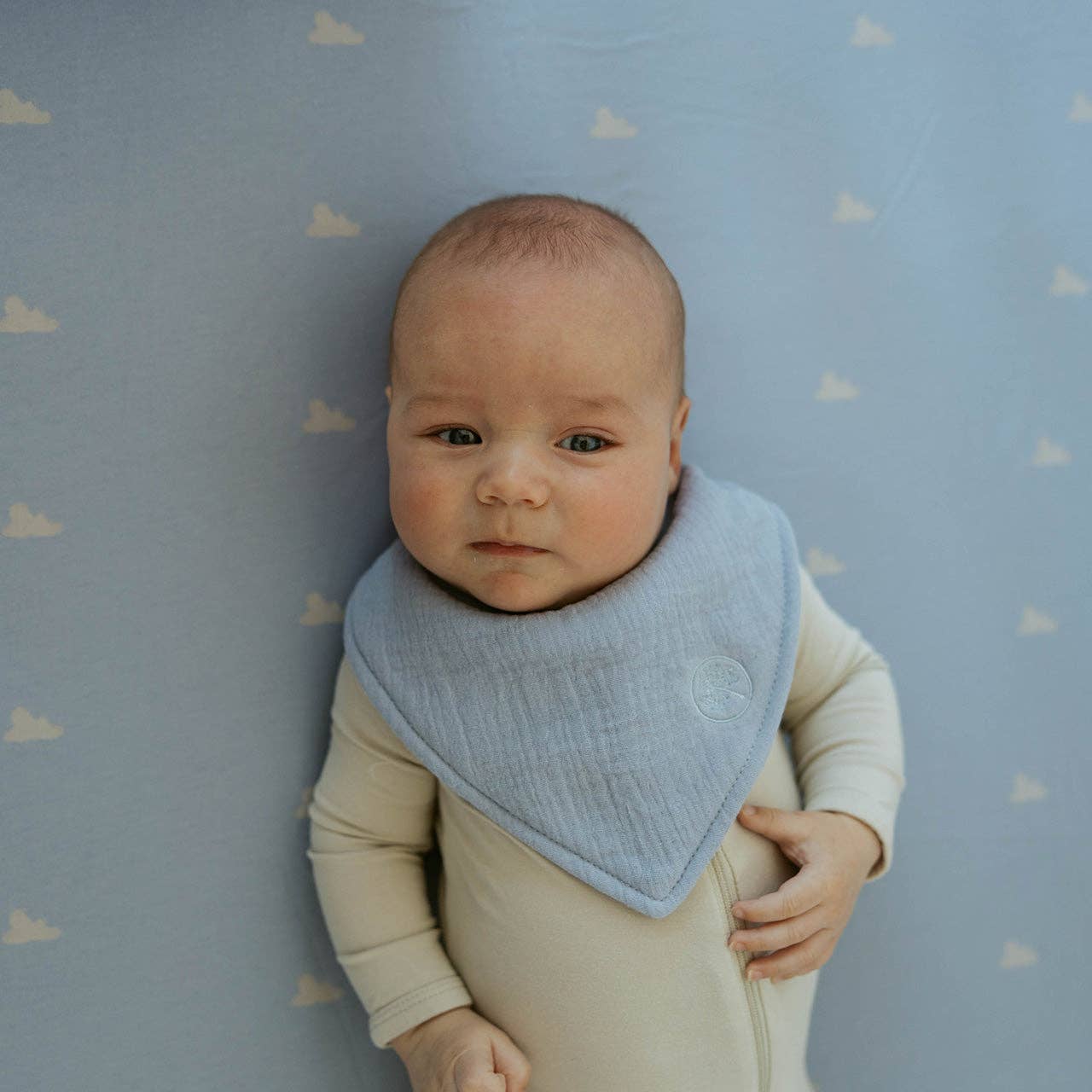 Stormy Muslin Bandana Bibs Set