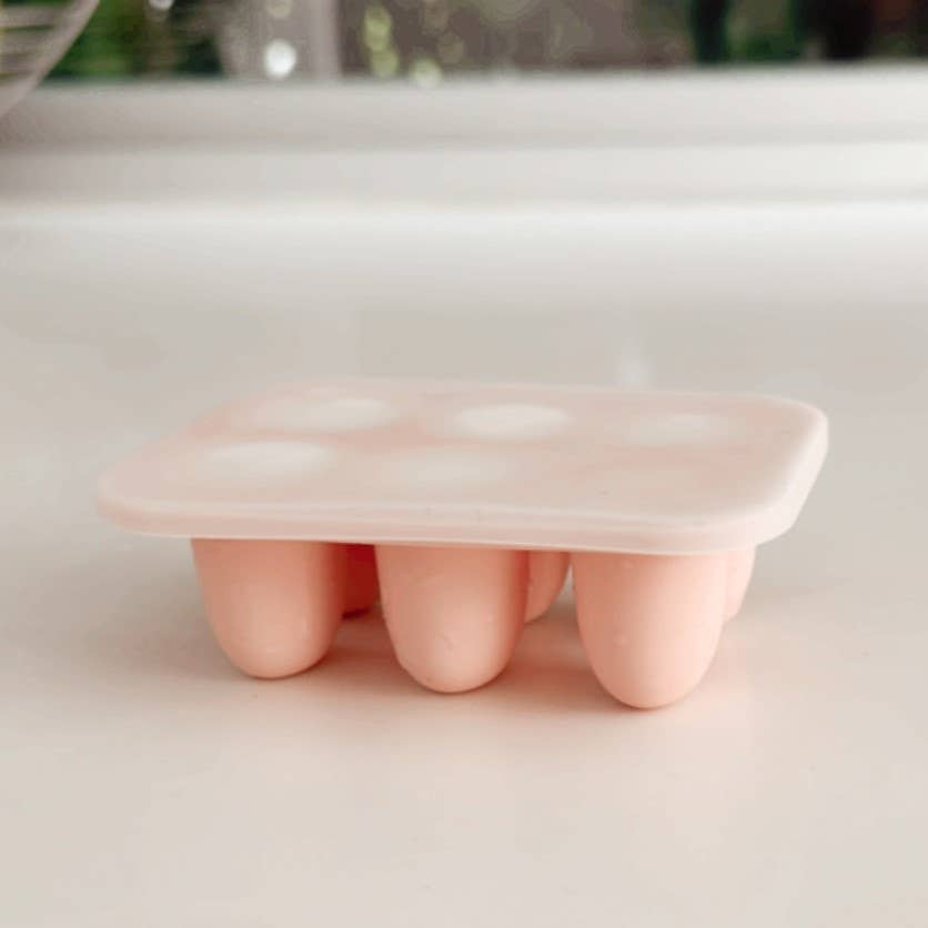 Food & Fruit Pacifier Feeder & Freezer Tray (Pink-White) 3pc